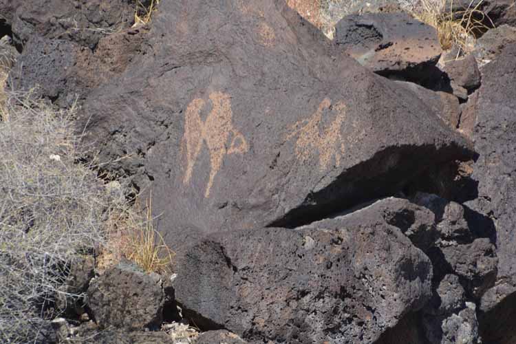 petroglyphs